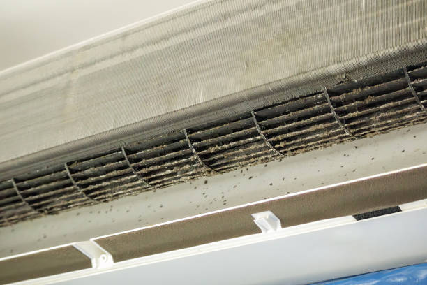 Best HVAC Duct Inspection Services  in Level Plains, AL