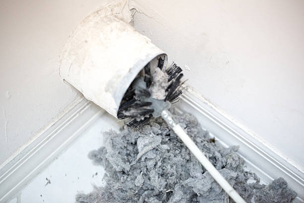 Best Affordable HVAC Duct Cleaning  in Level Plains, AL